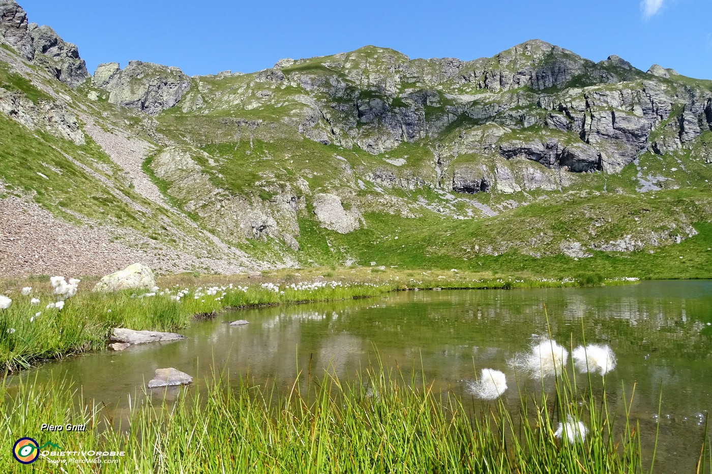 37 Bianchi eriofori al  Lago di Ponteranica inf..JPG